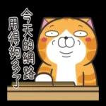 白爛貓☆第１３彈☆ 