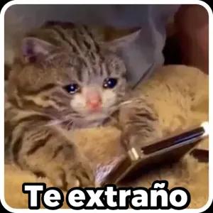 4x8lkdb