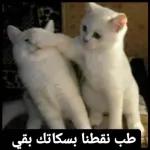 محتويات