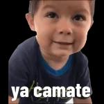 stickers 6