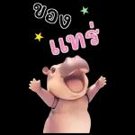 ชอบแล้ว