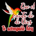 Que el Sel de te acompañe hoy