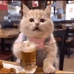 Luz apagada, corazón contento.💡