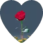 Que tengas un día súper lindo🥰