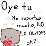 Yo El 24 ya después de haber cenado en 4 casas diferentes  -Ya cenaste?  -Yo: