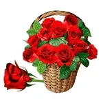 Cosa stai guardando?