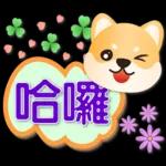 可愛柴犬--實用語問候對話框