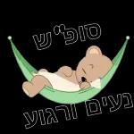 שבת שלום