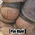 si se porta bien le hago un oral