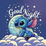 Stitch's dream