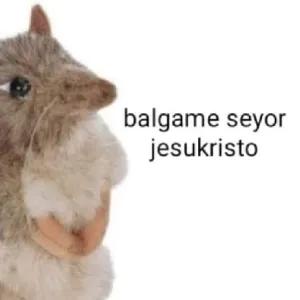 ynios0