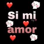 Si mi amor