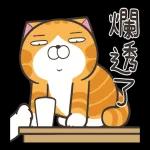 白爛貓51☆腦有動☆