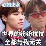 seventeen表情管理2 :: @fStikBot