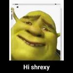 weird shrek memes