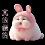 Meow Rabbit