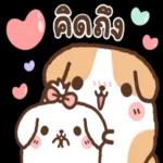 ดาวน์โหลดสติ๊กเกอร์~