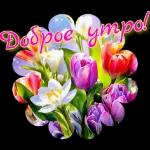 утречко доброе