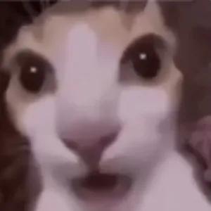 aUVLzl