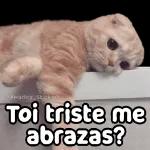 Porque eres así 
