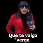 This is a photo of a dog pointing its finger.