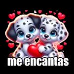 Paquete de expresiones diarias en 3D