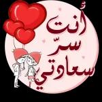 أنت ستر سعادتي 3
