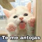 A ver una teta