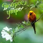 Наталья 