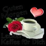 Moin