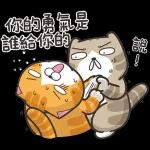 白爛貓11☆超級萌☆