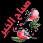 الحمدلله
على سلكم