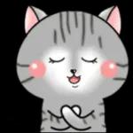 Cats! For reply