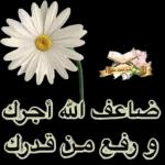 ما شاء الله