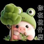 Piggy Frog so cute 