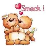 Bear's expressiepakket