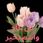 من الذي فاتك؟