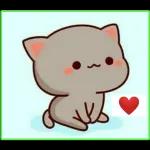 my love❤️❤️❤️