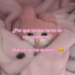 Love is in the air