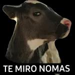 Cuánto Quieres?