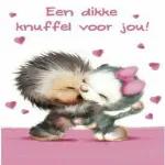 Goedemorgen☀️