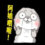 好想兔：人生一如往常