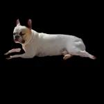 Удачного дня