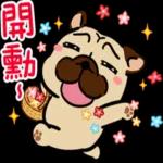 豆卡頻道-茶寶丸綜藝篇 2