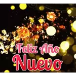 Año nuevo