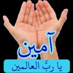 قلم لمين تی