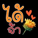 คำฮิต ภาษาดอกไม้ คนเหงา