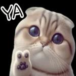 折耳貓貓 ❤ 給你一個讚 ❤