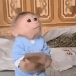 changos 