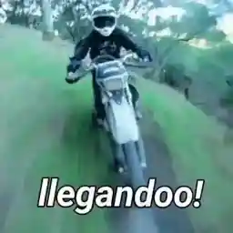 SdKHfE